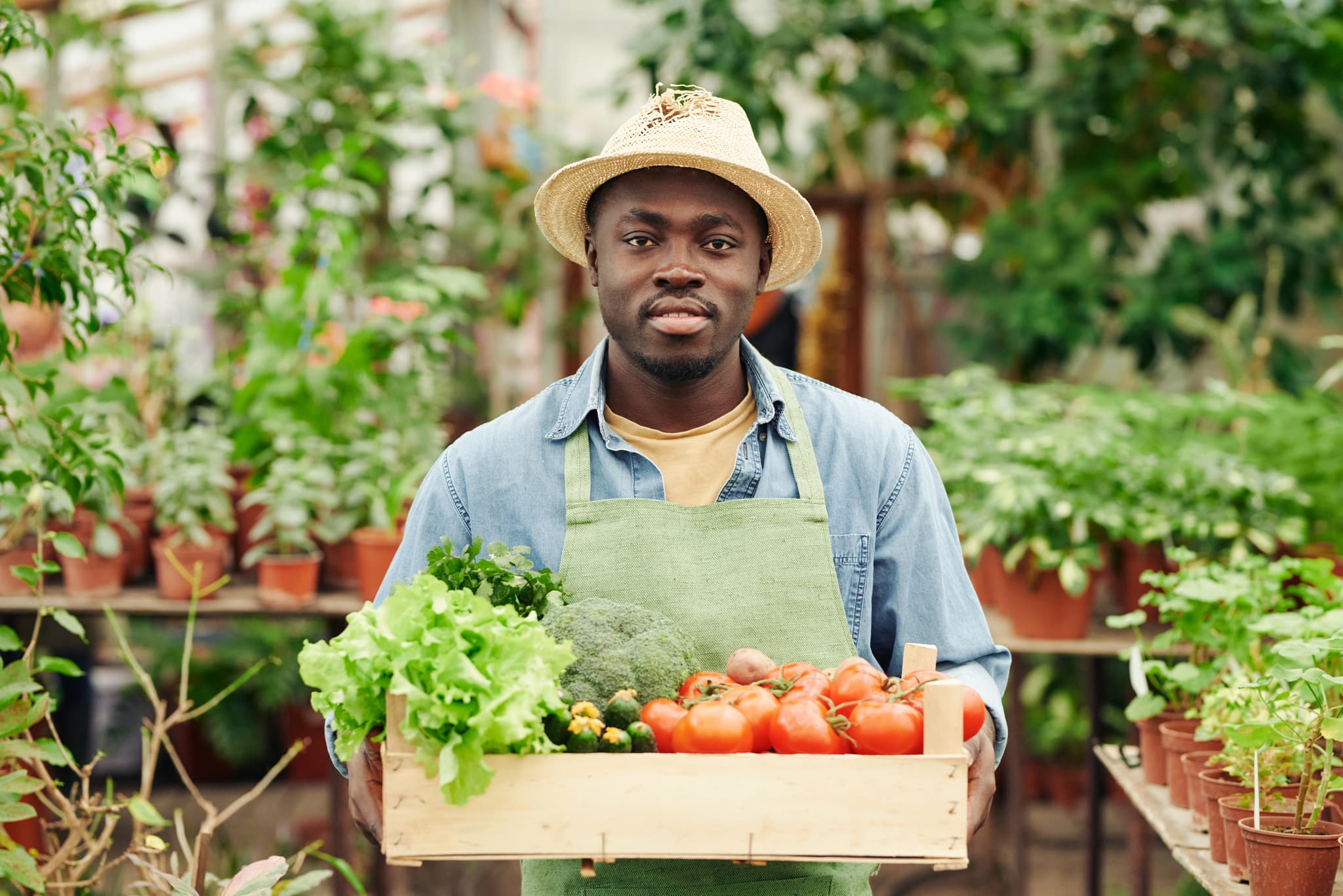 Des viandes fraîches, bien conservées, livrées dans les règles